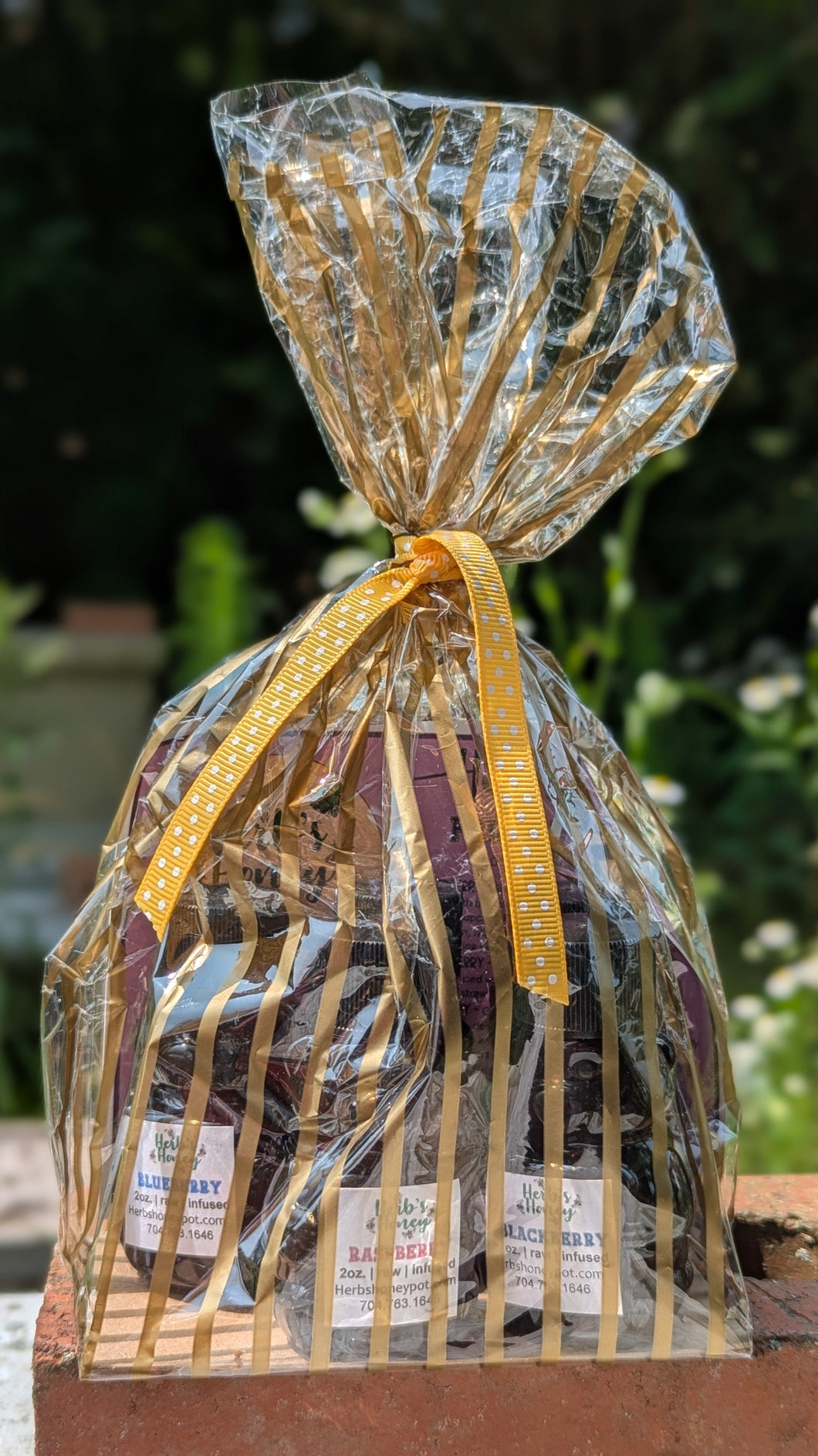 Fruit Infused Honey Gift Pack